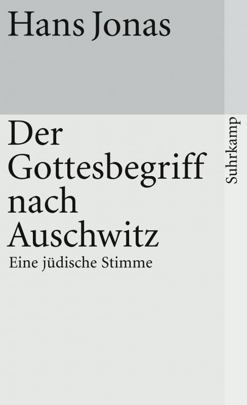 Cover-Bild Der Gottesbegriff nach Auschwitz