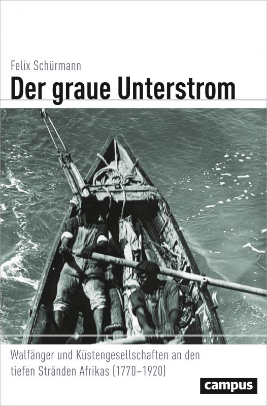 Cover-Bild Der graue Unterstrom