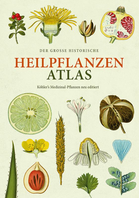 Cover-Bild Der große Heilpflanzen-Atlas