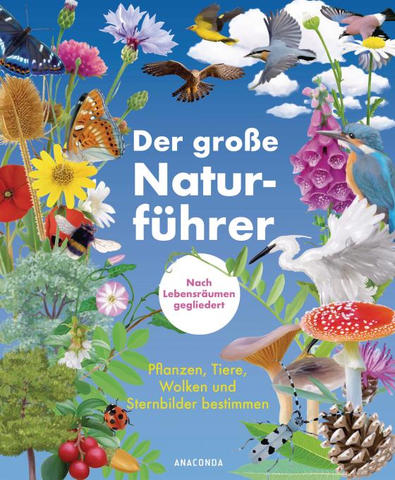 Cover-Bild Der große Naturführer. Pflanzen, Tiere, Wolken und Sternbilder bestimmen. Nach Lebensräumen gegliedert.