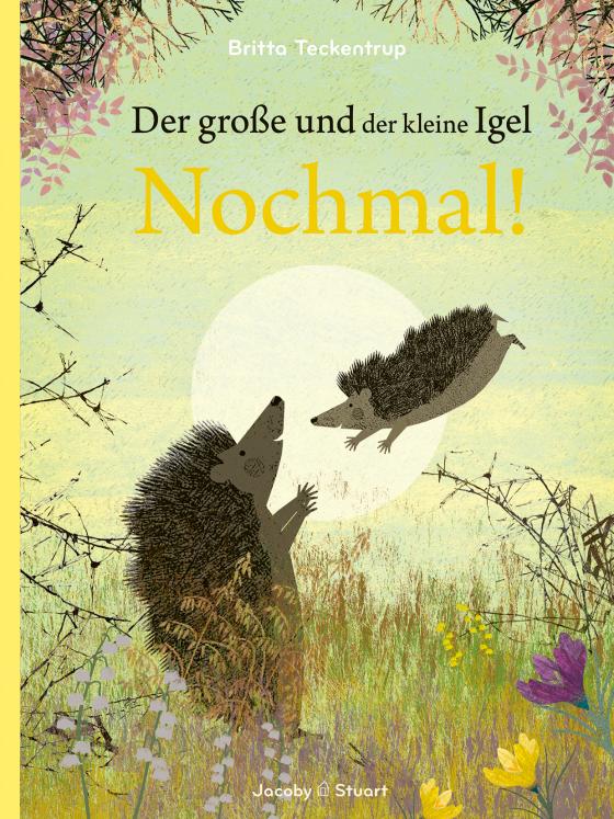 Cover-Bild Der große und der kleine Igel / Nochmal!