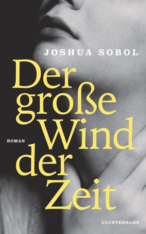 Cover-Bild Der große Wind der Zeit