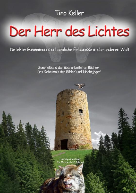 Cover-Bild Der Herr des Lichtes