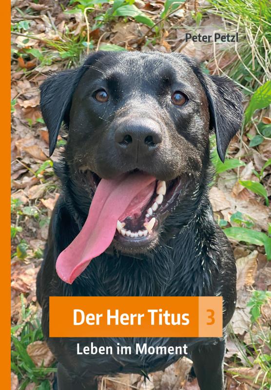 Cover-Bild Der Herr Titus 3