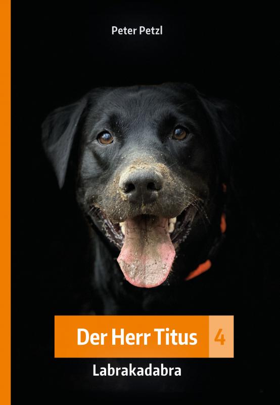 Cover-Bild Der Herr Titus 4