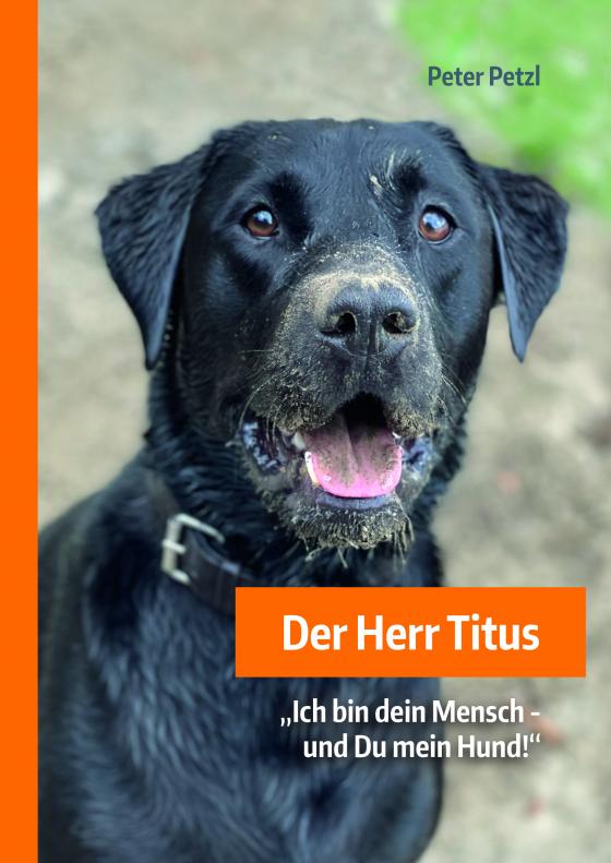 Cover-Bild Der Herr Titus