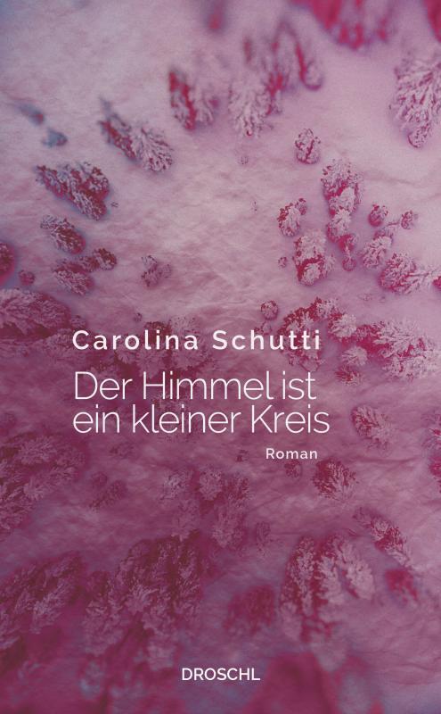 Cover-Bild Der Himmel ist ein kleiner Kreis