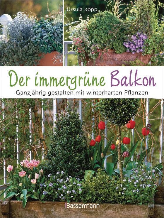 Cover-Bild Der immergrüne Balkon. Ganzjährig gestalten mit winterharten Pflanzen