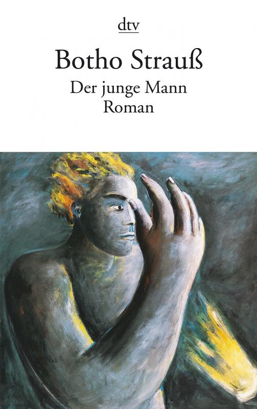 Cover-Bild DER JUNGE MANN