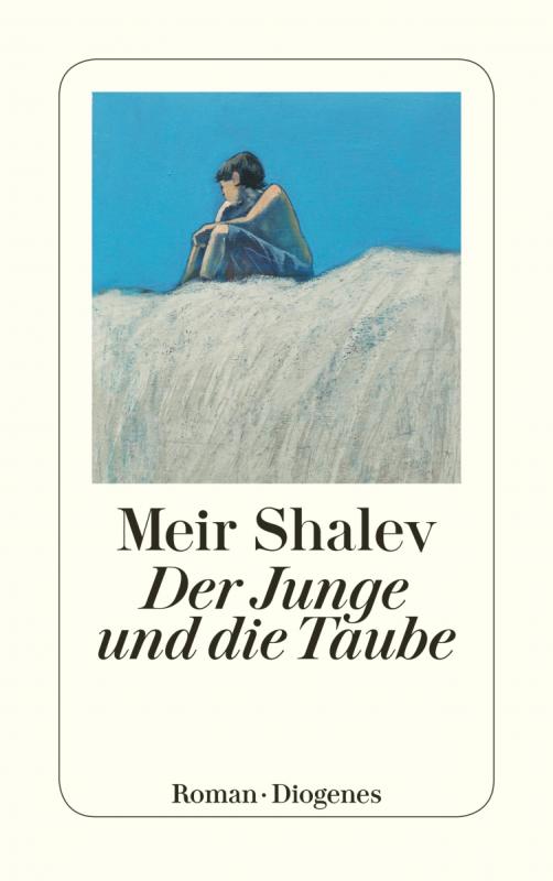 Cover-Bild Der Junge und die Taube