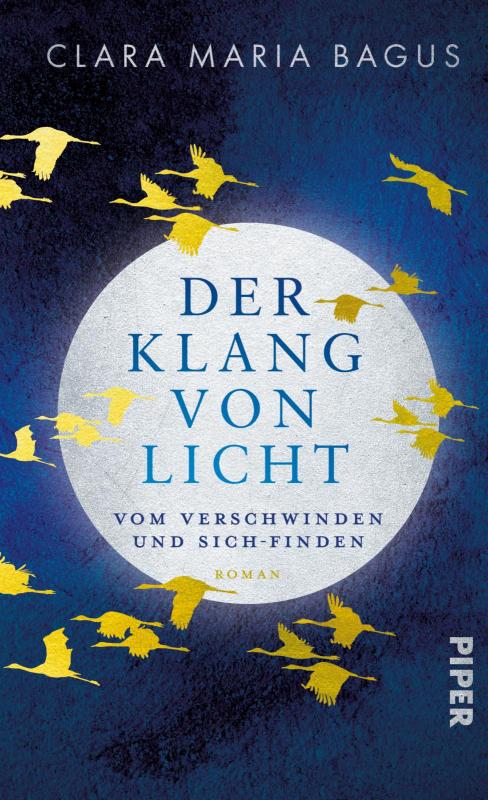 Cover-Bild Der Klang von Licht