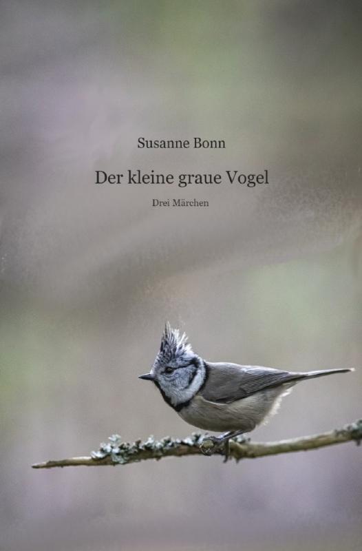 Cover-Bild Der kleine graue Vogel