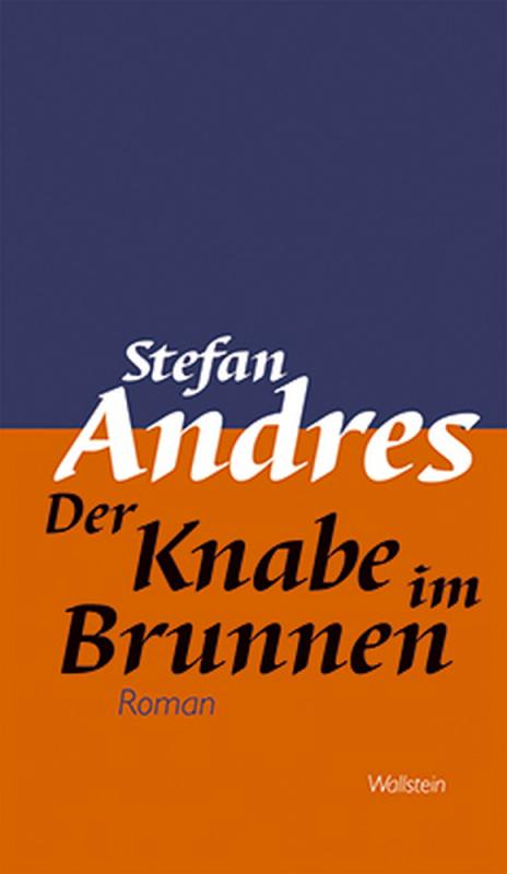 Cover-Bild Der Knabe im Brunnen