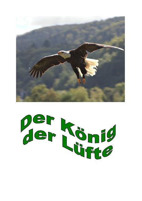 Cover-Bild Der König der Lüfte