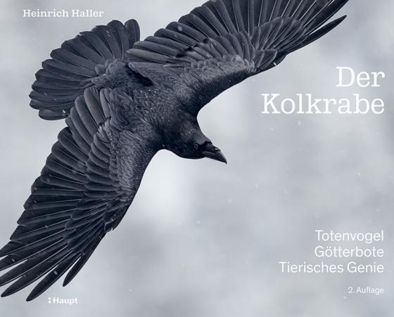 Cover-Bild Der Kolkrabe – Totenvogel, Götterbote, tierisches Genie