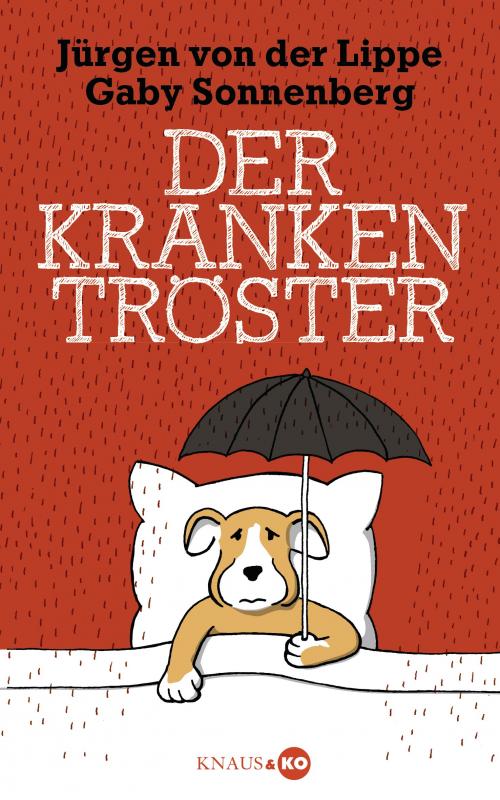 Cover-Bild Der Krankentröster