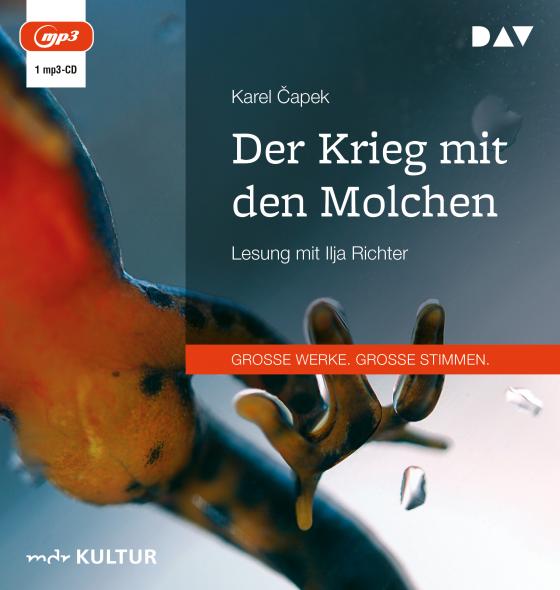 Cover-Bild Der Krieg mit den Molchen