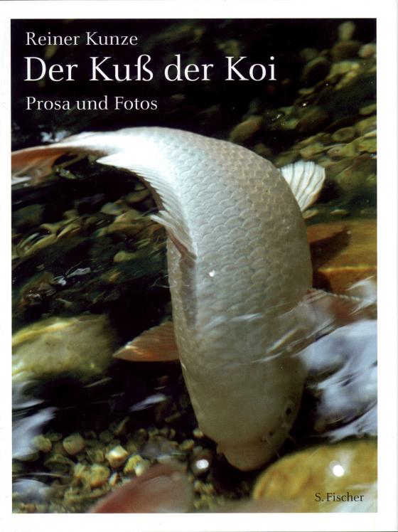 Cover-Bild Der Kuß der Koi