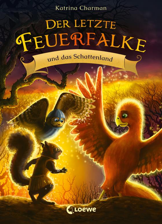 Cover-Bild Der letzte Feuerfalke und das Schattenland (Band 5)