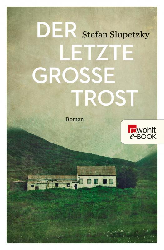 Cover-Bild Der letzte große Trost