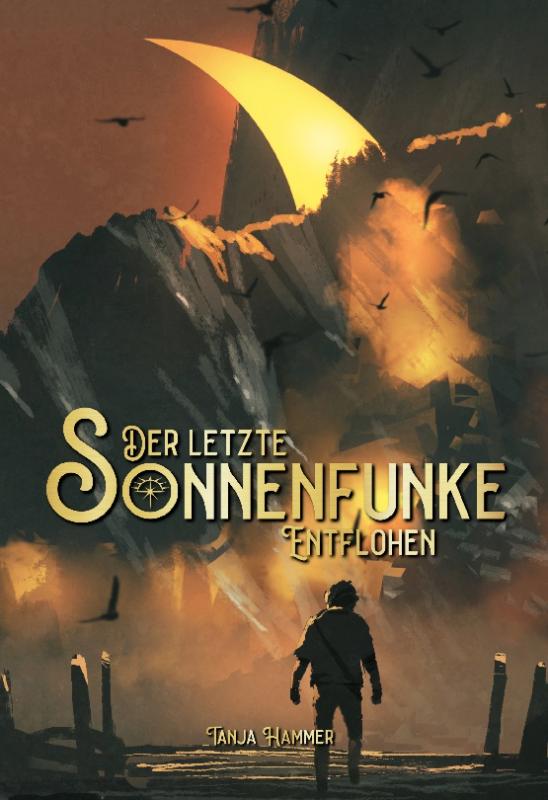 Cover-Bild Der letzte Sonnenfunke