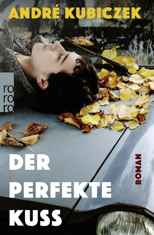 Cover-Bild Der perfekte Kuss