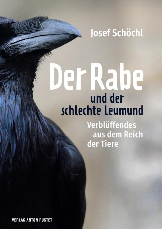 Cover-Bild Der Rabe und der schlechte Leumund