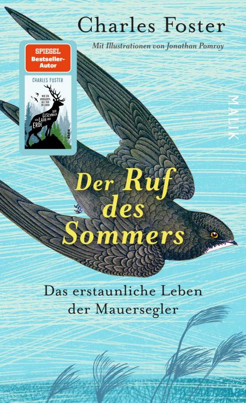 Cover-Bild Der Ruf des Sommers