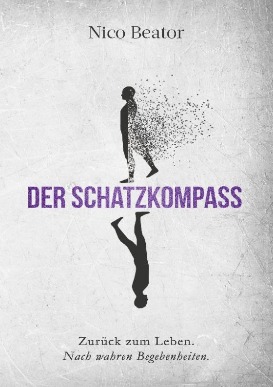 Cover-Bild Der Schatzkompass