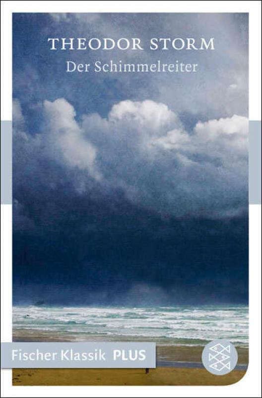 Cover-Bild Der Schimmelreiter