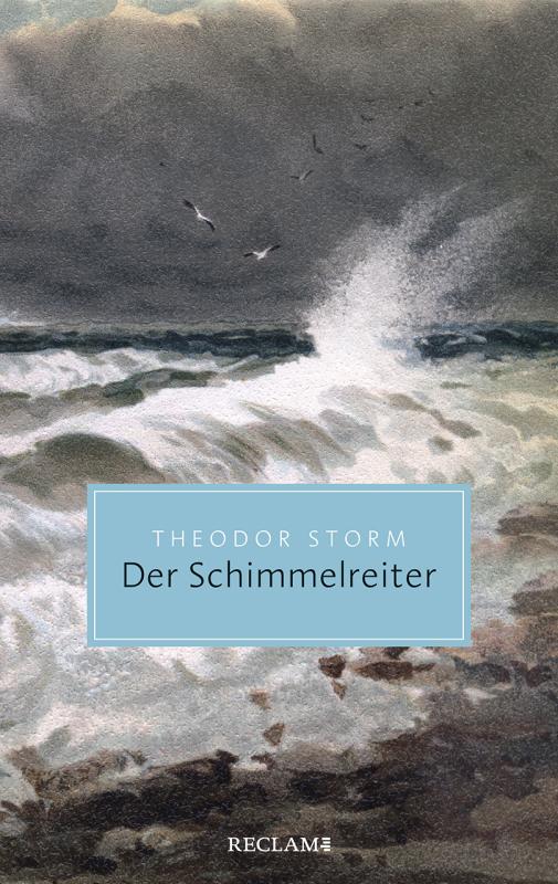 Cover-Bild Der Schimmelreiter