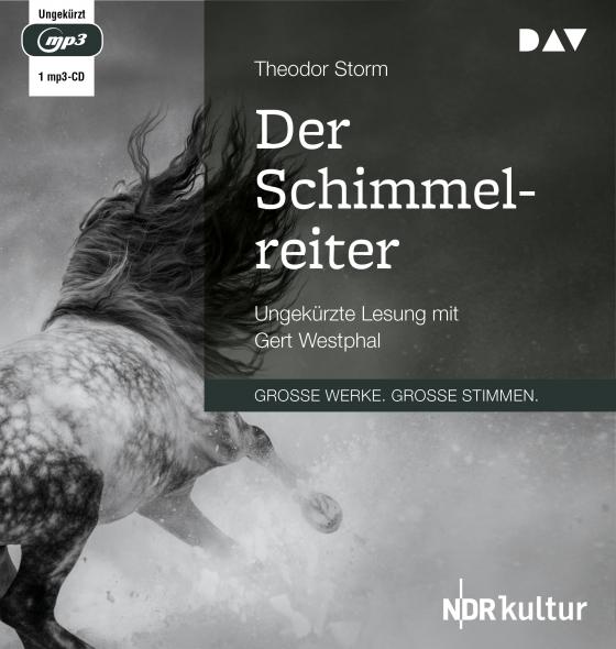 Cover-Bild Der Schimmelreiter