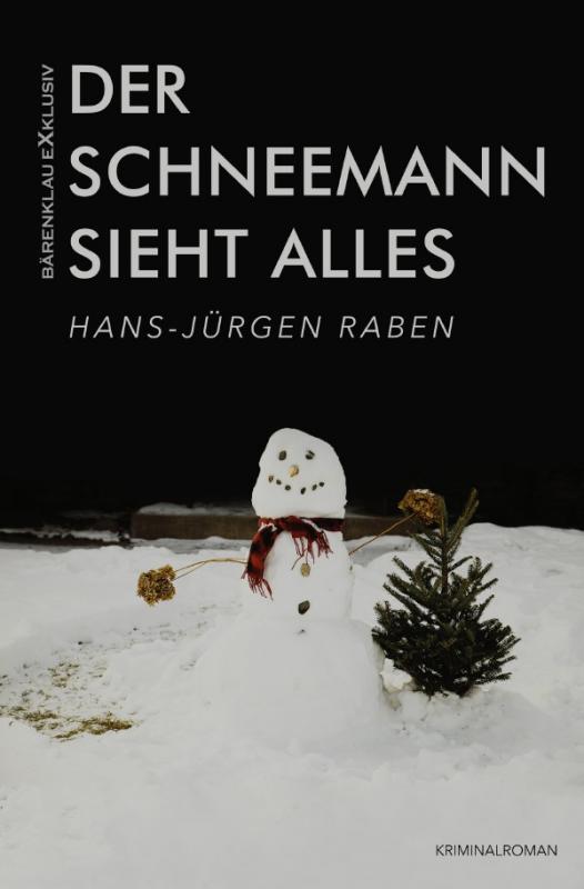 Cover-Bild Der Schneemann sieht alles