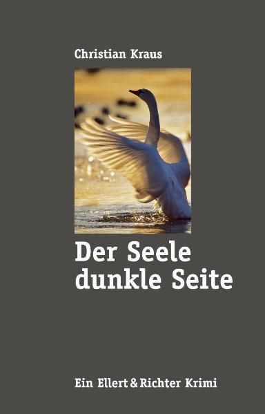 Cover-Bild Der Seele dunkle Seite