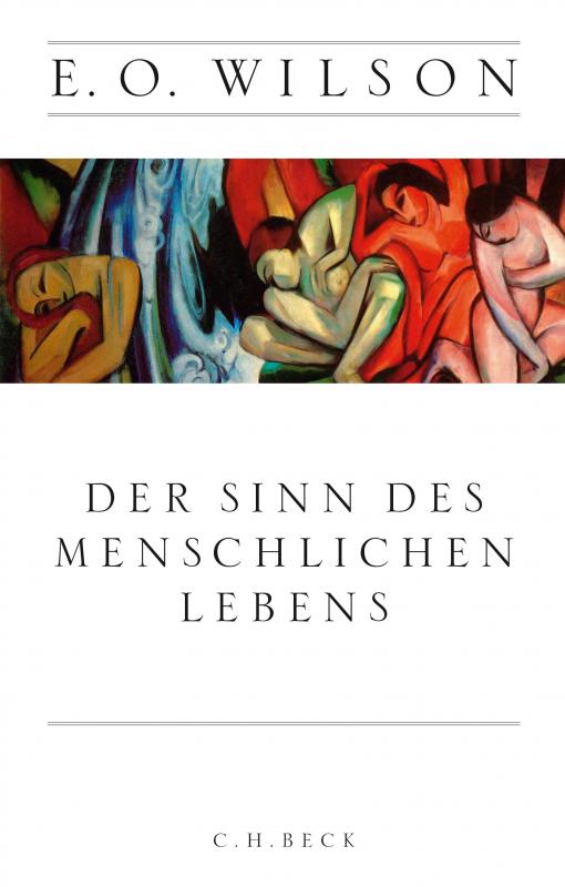 Cover-Bild Der Sinn des menschlichen Lebens