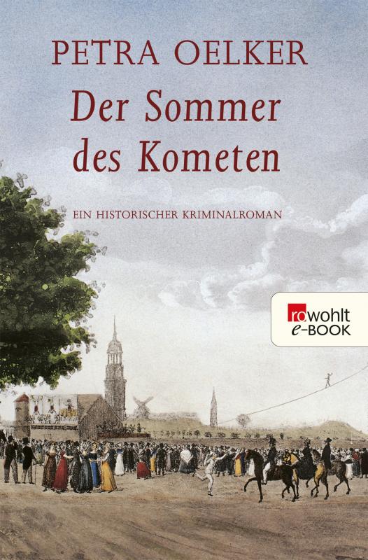 Cover-Bild Der Sommer des Kometen