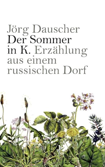 Cover-Bild Der Sommer in K.