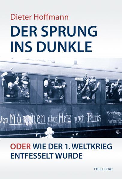 Cover-Bild Der Sprung ins Dunkle