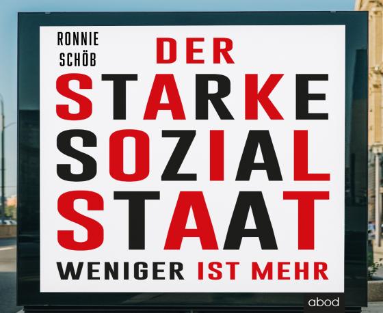 Cover-Bild Der starke Sozialstaat