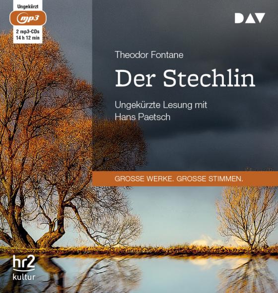 Cover-Bild Der Stechlin