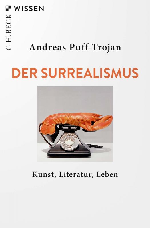 Cover-Bild Der Surrealismus