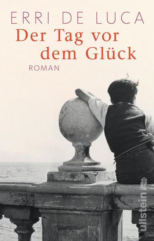 Cover-Bild Der Tag vor dem Glück