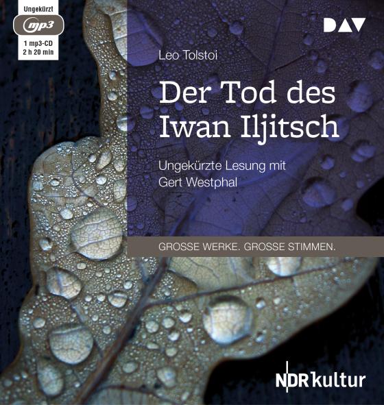 Cover-Bild Der Tod des Iwan Iljitsch