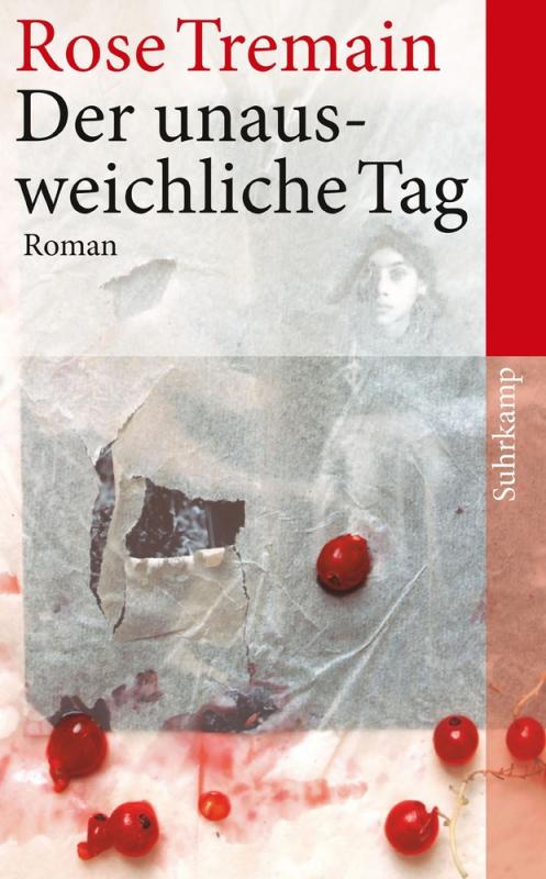 Cover-Bild Der unausweichliche Tag