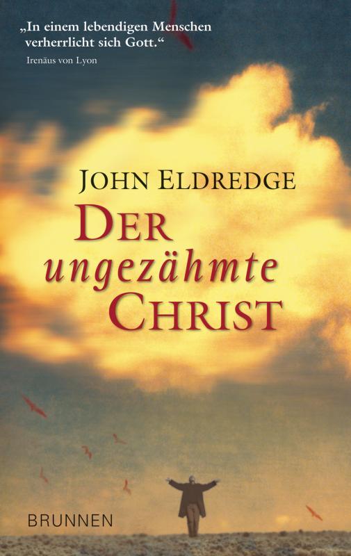 Cover-Bild Der ungezähmte Christ