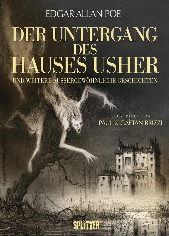 Cover-Bild Der Untergang des Hauses Usher (illustrierter Roman)