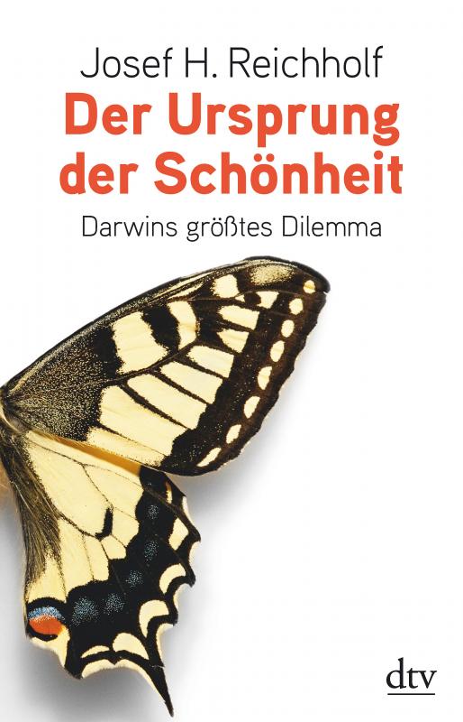 Cover-Bild Der Ursprung der Schönheit