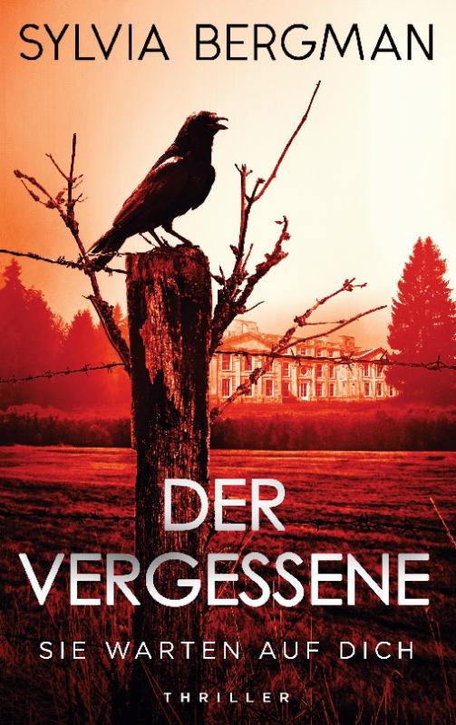 Cover-Bild Der Vergessene