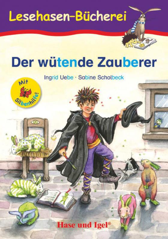 Cover-Bild Der wütende Zauberer / Silbenhilfe