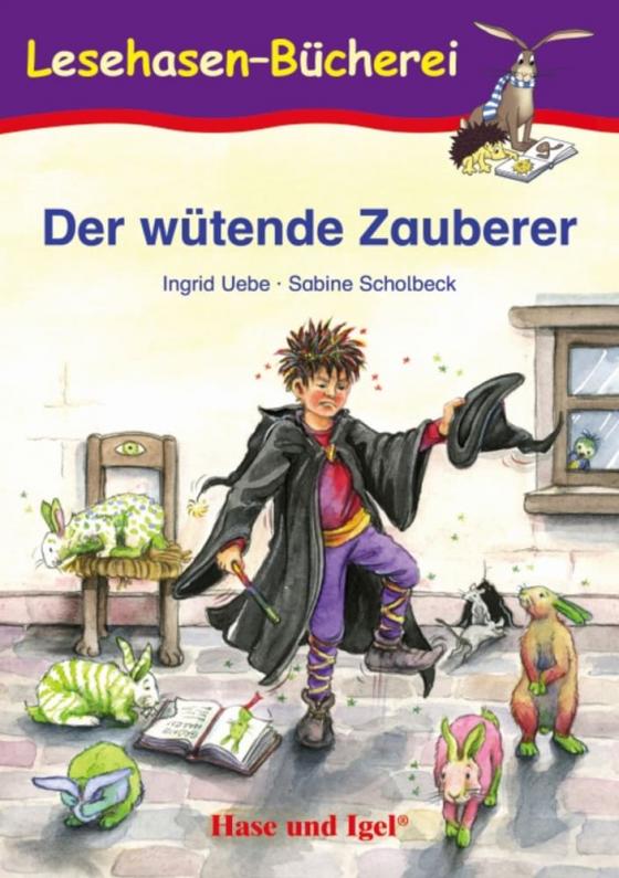 Cover-Bild Der wütende Zauberer